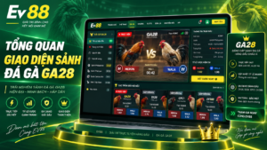 Tổng quan giao diện sảnh Đá Gà GA28